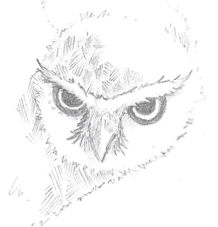 Sketch 10